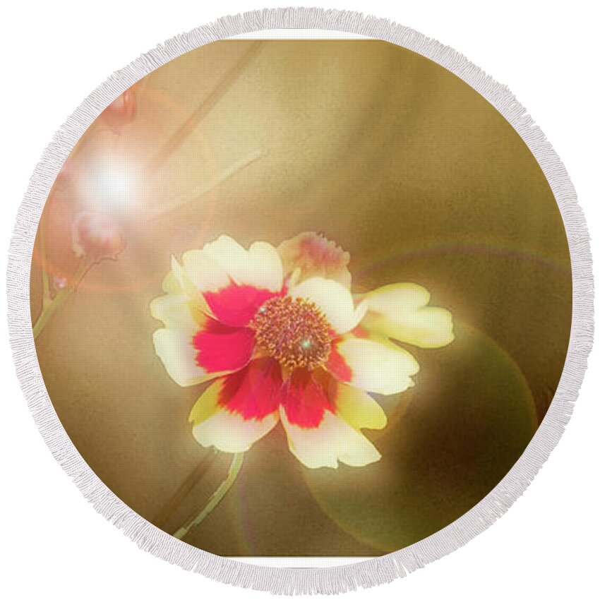 Coreopsis Round Beach Towel featuring the digital art Coreopsis Flowers and Buds #1 by A Macarthur Gurmankin