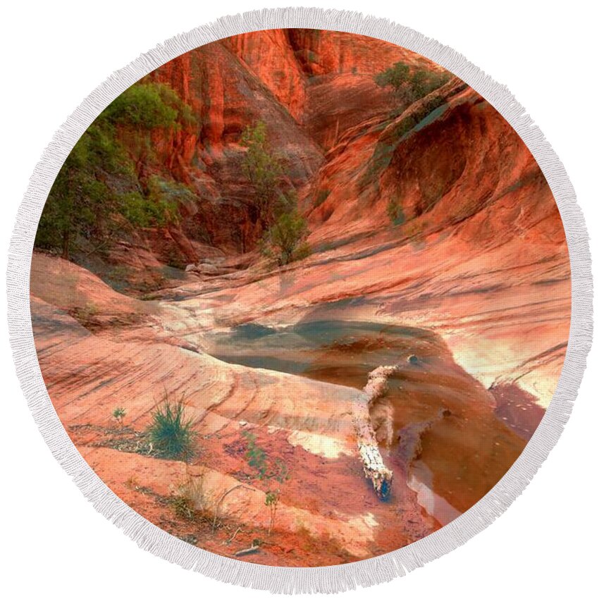 Slot Canyon Round Beach Towel featuring the photograph Drying Out #1 by Adam Jewell