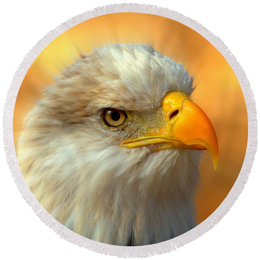 American Bald Eagle Round Beach Towel featuring the photograph Eagle 10 #1 by Marty Koch