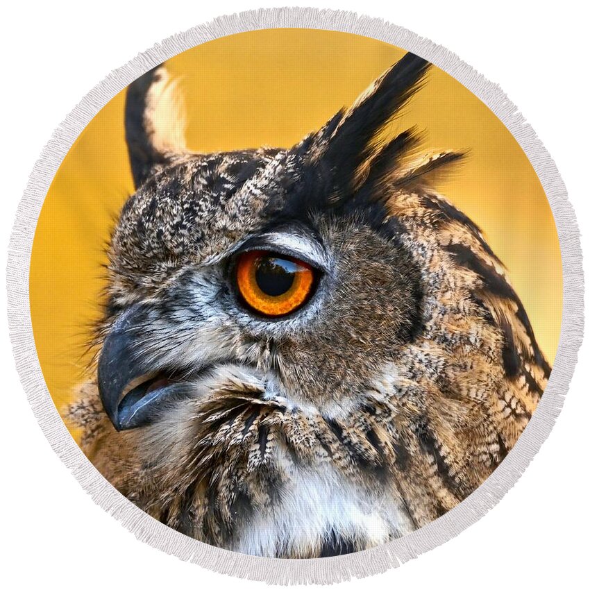Owl Round Beach Towel featuring the photograph Eurasian Eagle Owl #1 by Amy McDaniel