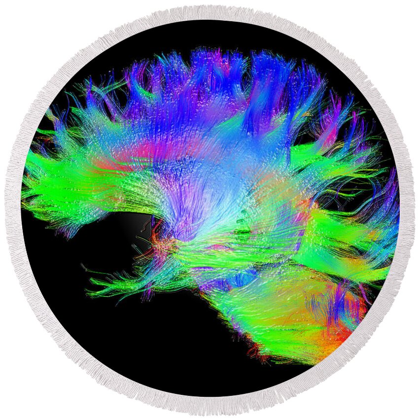 Brain Mri Round Beach Towel featuring the photograph Fiber Tracts Of The Brain, Dti #1 by Living Art Enterprises