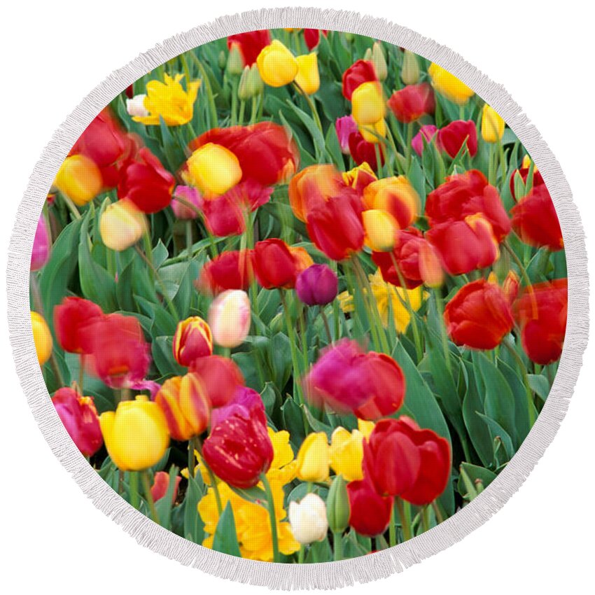 Angel Round Beach Towel featuring the photograph Field Of Tulips #1 by Greg Vaughn - Printscapes