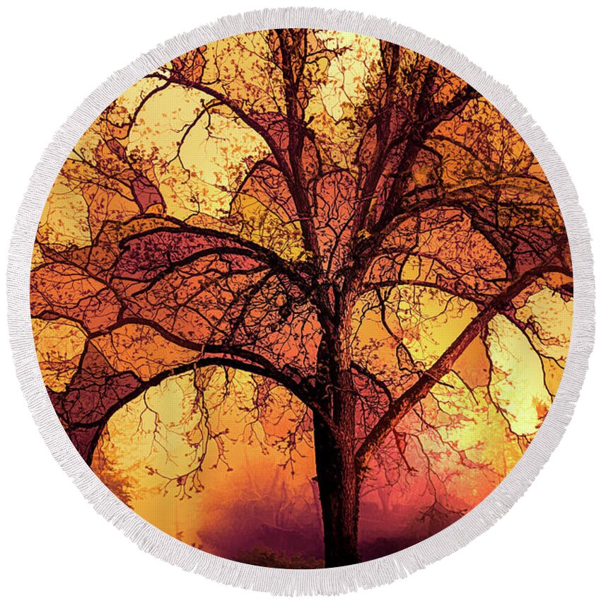 Appalachia Round Beach Towel featuring the photograph Fire in the Trees #1 by Debra and Dave Vanderlaan