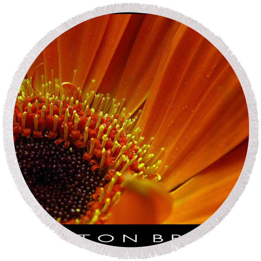 Clay Round Beach Towel featuring the photograph Floral #1 by Clayton Bruster