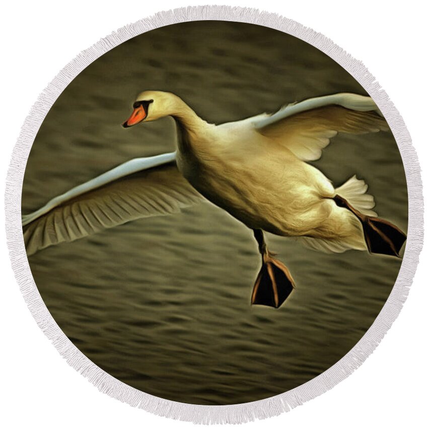 Chiaroscuro Round Beach Towel featuring the photograph Flying Swan #1 by Michal Boubin