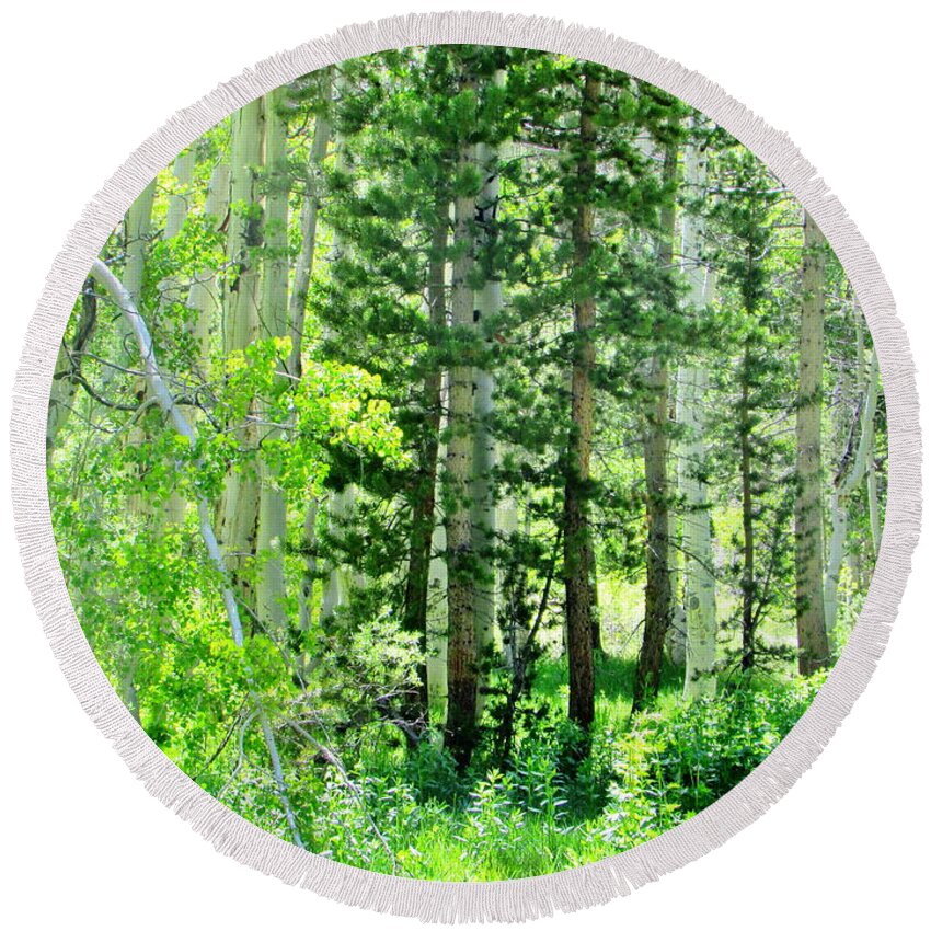 Trees Round Beach Towel featuring the photograph Forest Green #1 by Marilyn Diaz