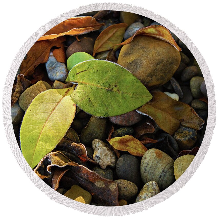 Leaves Round Beach Towel featuring the photograph Frosty Rocks #1 by Randall Evans
