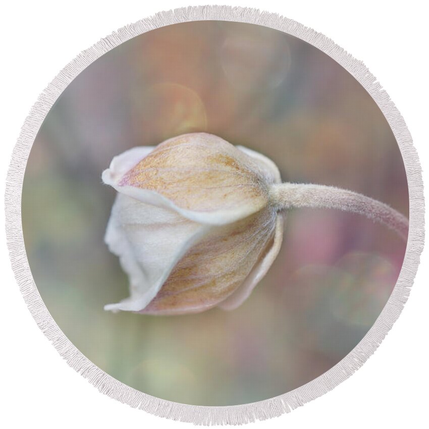 Gentle Round Beach Towel featuring the photograph Gentle White Flower #1 by Lilia S