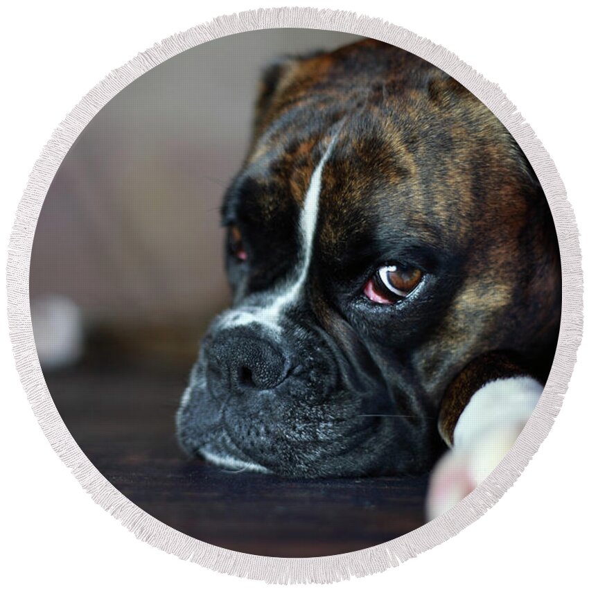 German Boxer Dog Round Beach Towel featuring the photograph German Boxer Dog #1 by Jana Behr