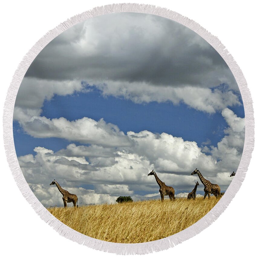 Africa Round Beach Towel featuring the photograph Giraffes on the Horizon #1 by Michele Burgess