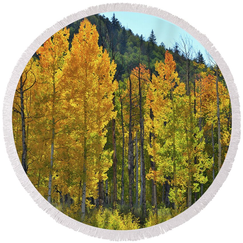 Colorado Round Beach Towel featuring the photograph Glowing Aspens along Highway 62 #1 by Ray Mathis
