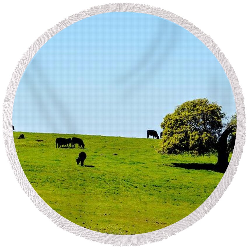 Scenic Round Beach Towel featuring the photograph Grazing in the Grass #1 by AJ Schibig