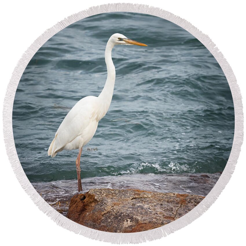 Great White Heron Round Beach Towel featuring the photograph Great white heron 3 by Elena Elisseeva