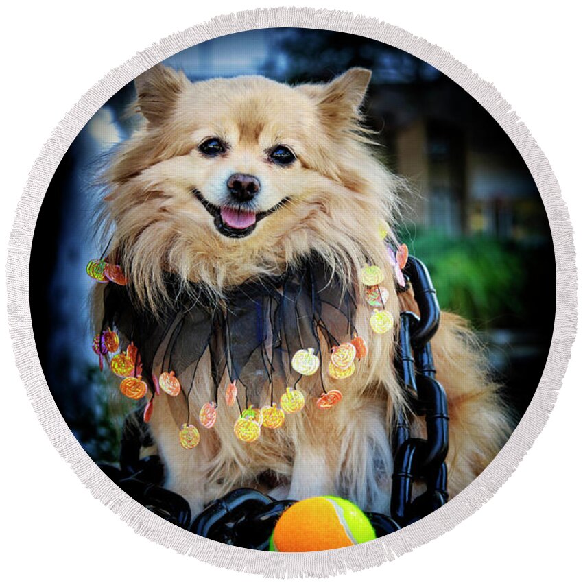 Halloween Round Beach Towel featuring the photograph Halloween Dog #1 by Charline Xia