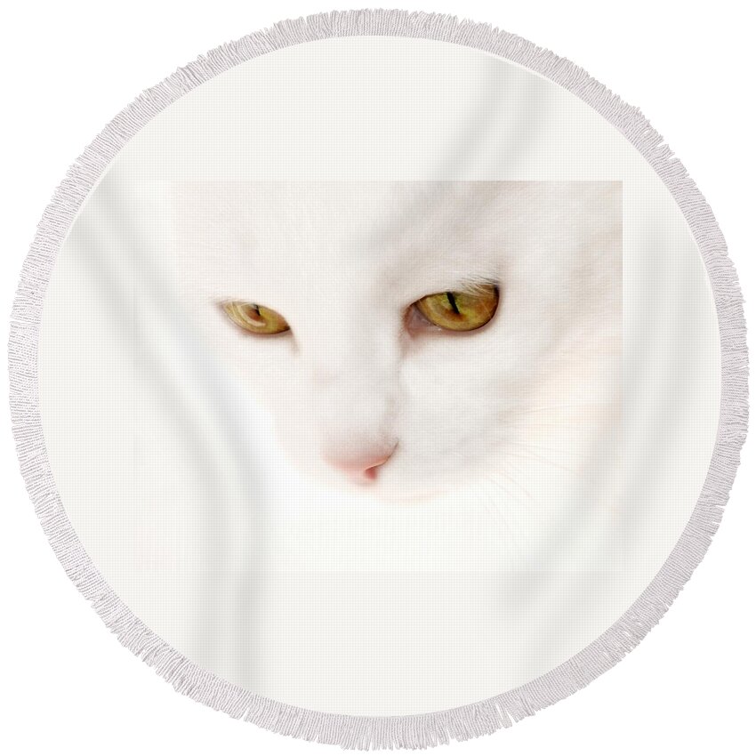 Cat Portraits Round Beach Towel featuring the photograph Heavenly Angel by Angie Tirado