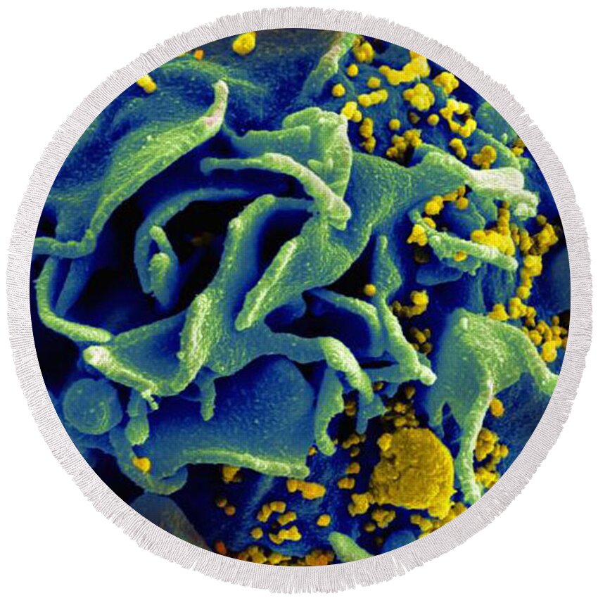 Microbiology Round Beach Towel featuring the photograph Hiv-infected T Cell, Sem by Science Source