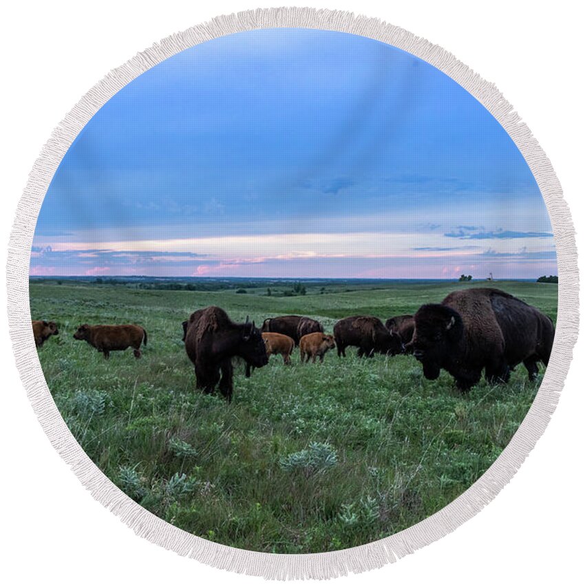 Jay Stockhaus Round Beach Towel featuring the photograph Home on the Range #1 by Jay Stockhaus