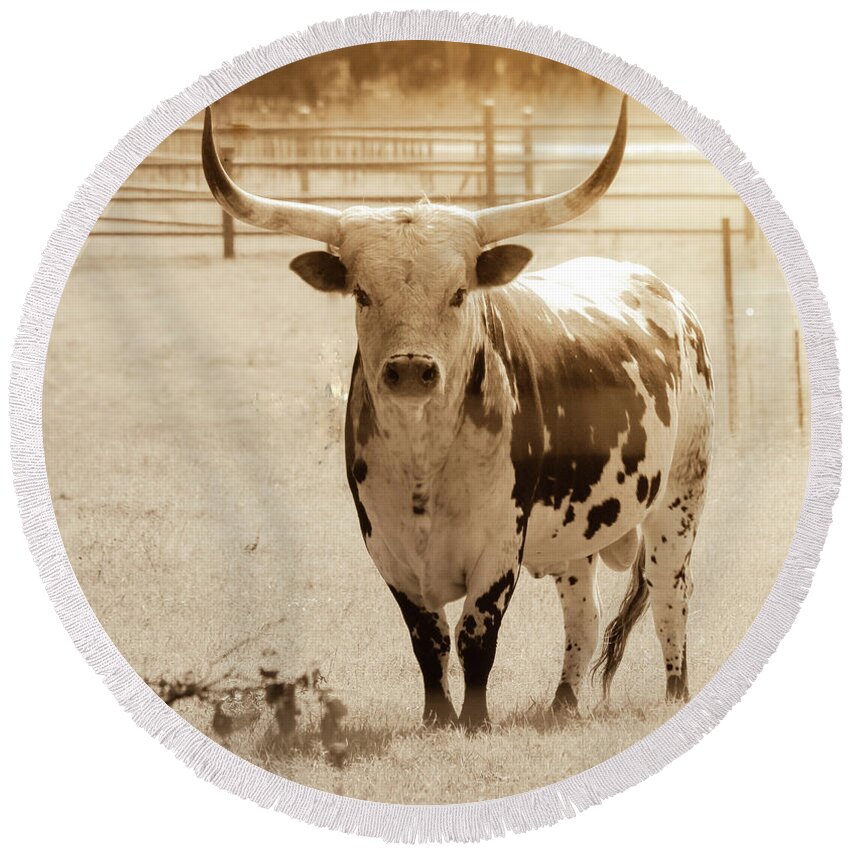 Longhorns Round Beach Towel featuring the photograph Hoss #2 by Toma Caul