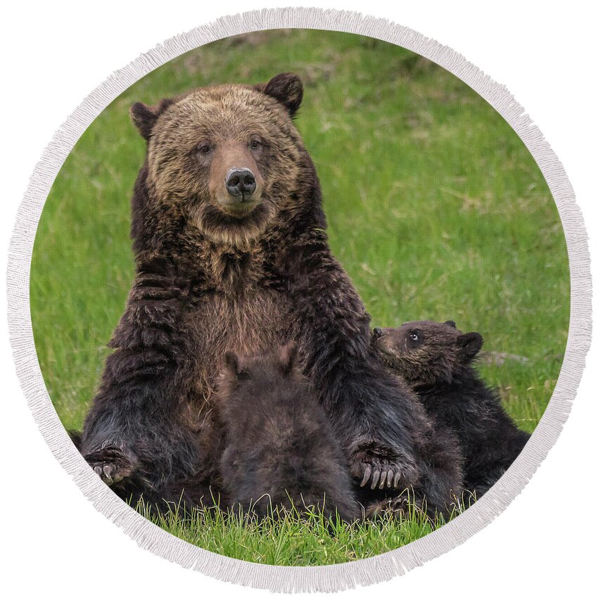 Grizzlies Round Beach Towel featuring the photograph I Love My Mom #1 by Yeates Photography