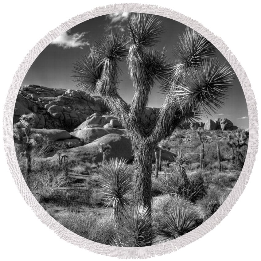 Black & White Round Beach Towel featuring the photograph Joshua Tree and Cloud by Peter Tellone