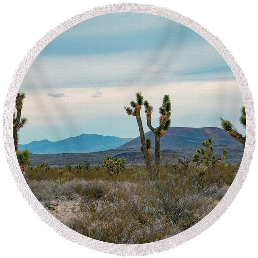 Hill Round Beach Towel featuring the photograph Joshua Trees with hills in the background in the USA #1 by Amanda Mohler