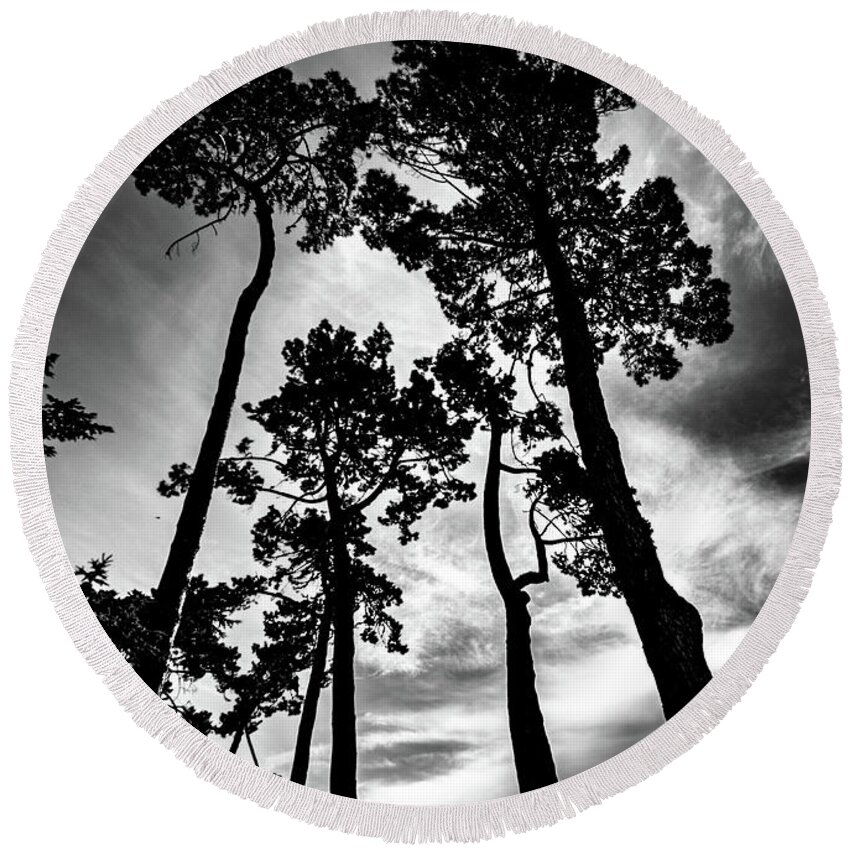 Tree Round Beach Towel featuring the photograph Leaning Trees #1 by Roseanne Jones