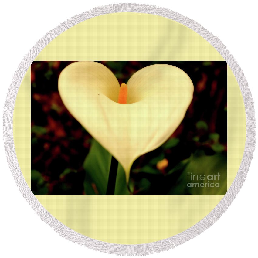 Lily Round Beach Towel featuring the photograph Lily of the Valley #1 by Cassandra Buckley