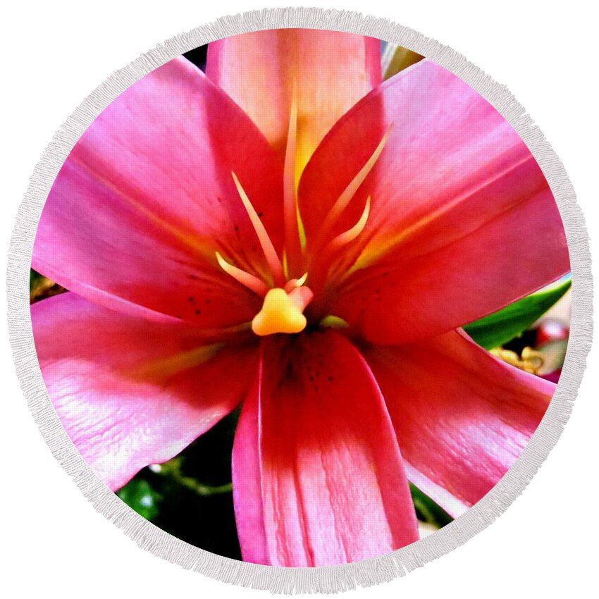 Lily Round Beach Towel featuring the photograph Lily #1 by Tim Townsend