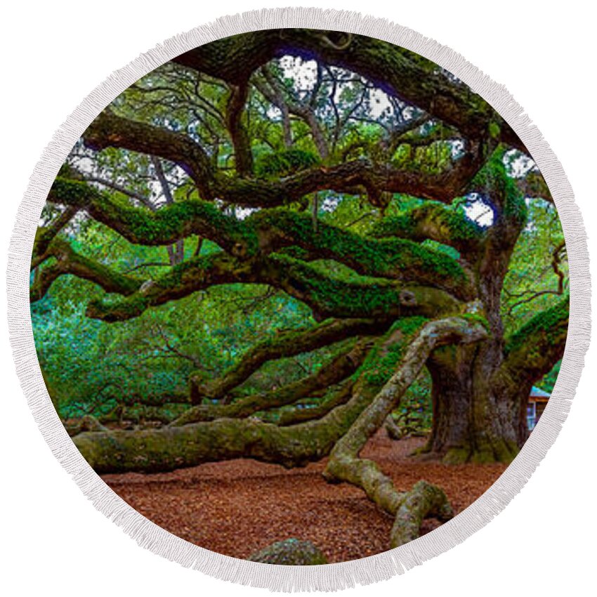 Angel Oak Round Beach Towel featuring the photograph Old Southern Live Oak #1 by David Smith