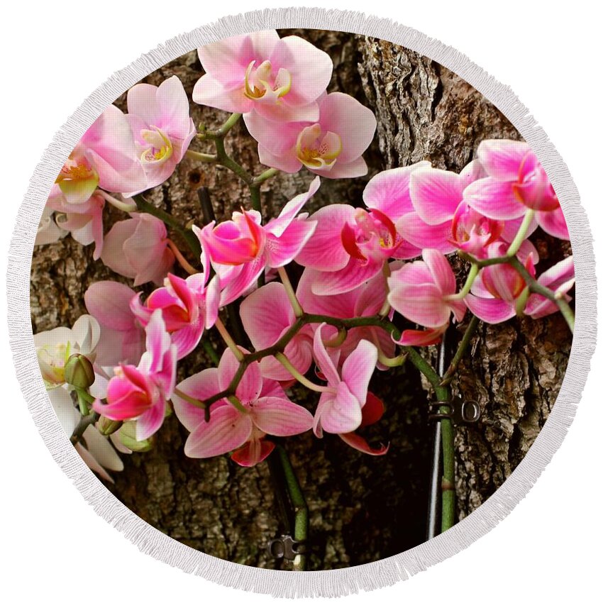 Orchid Round Beach Towel featuring the photograph Orchid #1 by Jackie Russo
