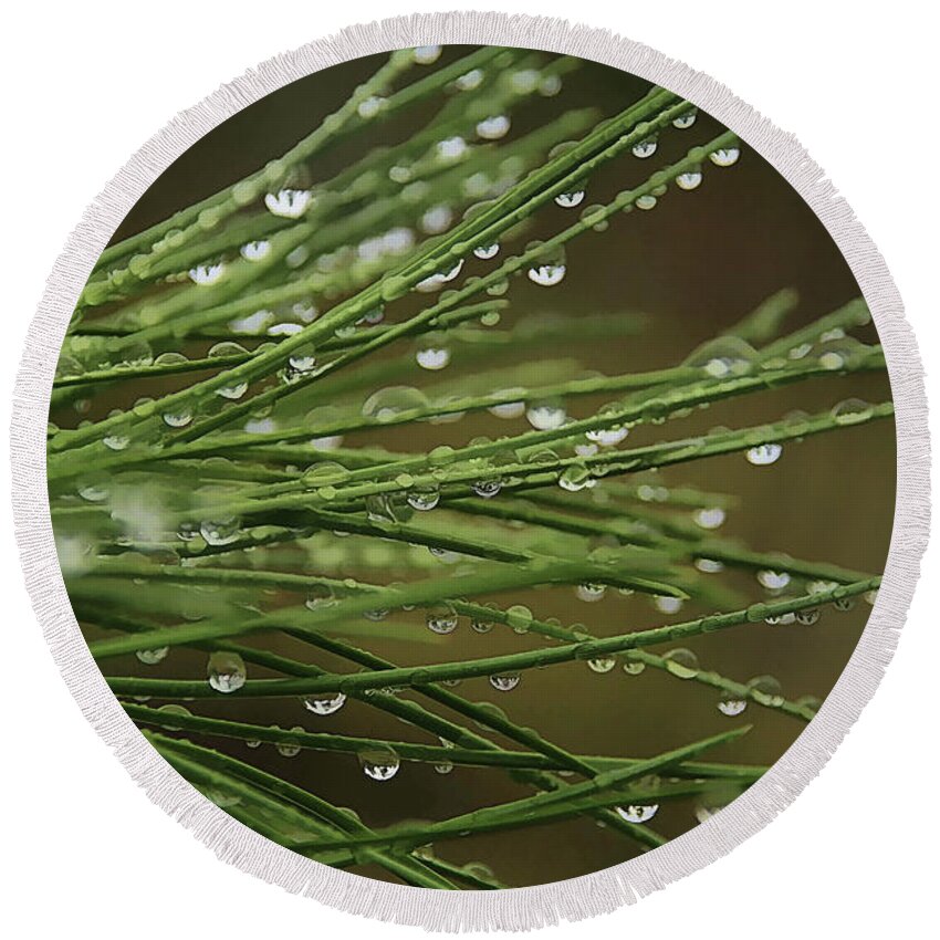 Pine Round Beach Towel featuring the photograph Pine Needles #1 by Roland Stanke