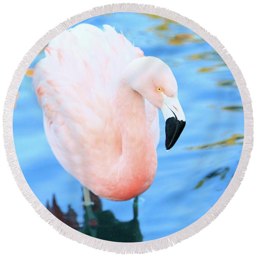 Flamingo Round Beach Towel featuring the photograph Pretty in Pink #1 by Shoal Hollingsworth