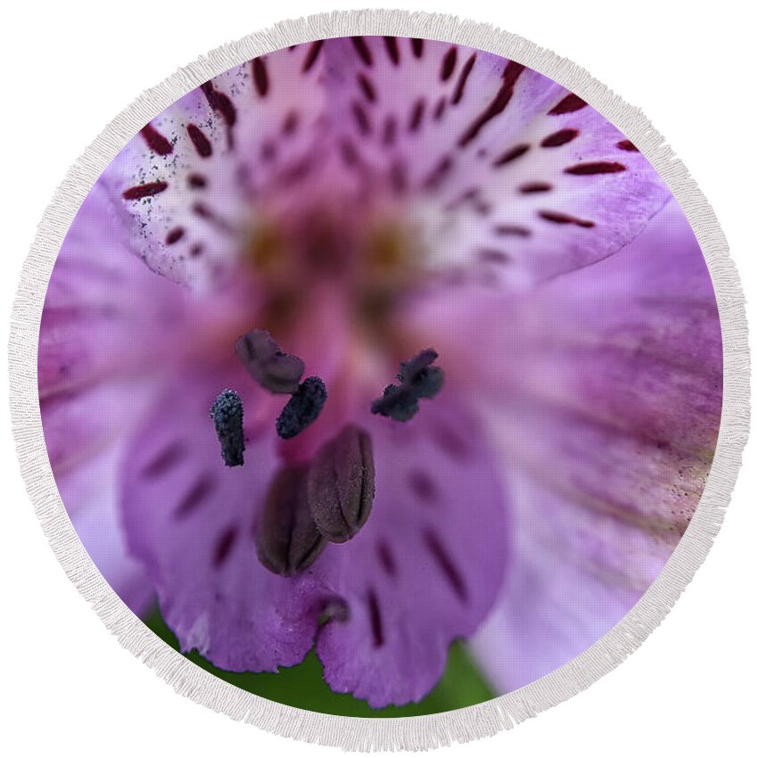  Round Beach Towel featuring the photograph Purple Flower #1 by Kuni Photography