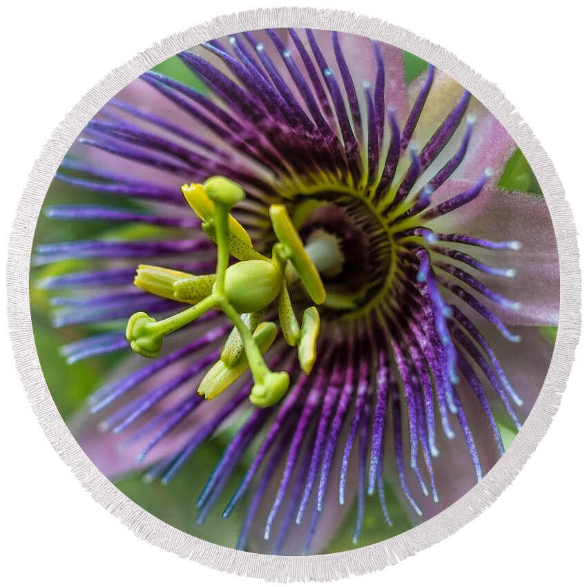 Nature Round Beach Towel featuring the photograph Purple Passion #1 by George Kenhan