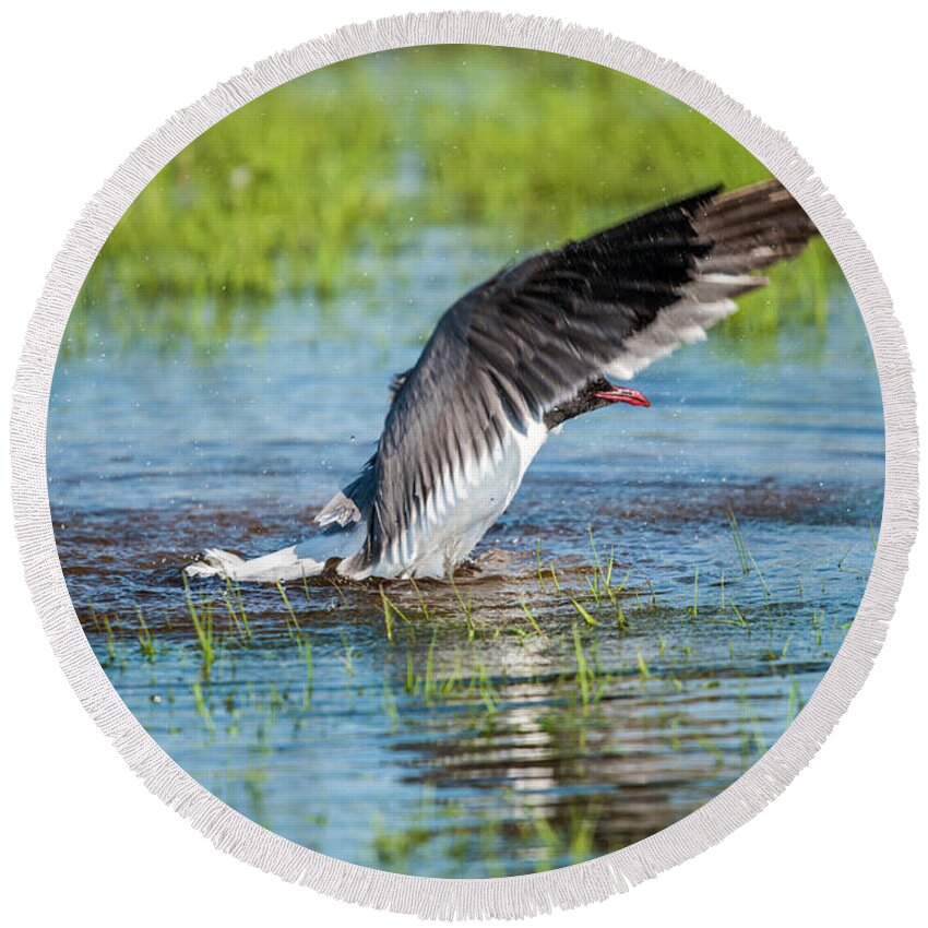 Nature Round Beach Towel featuring the photograph Ready For Takeoff #1 by Cathy Kovarik