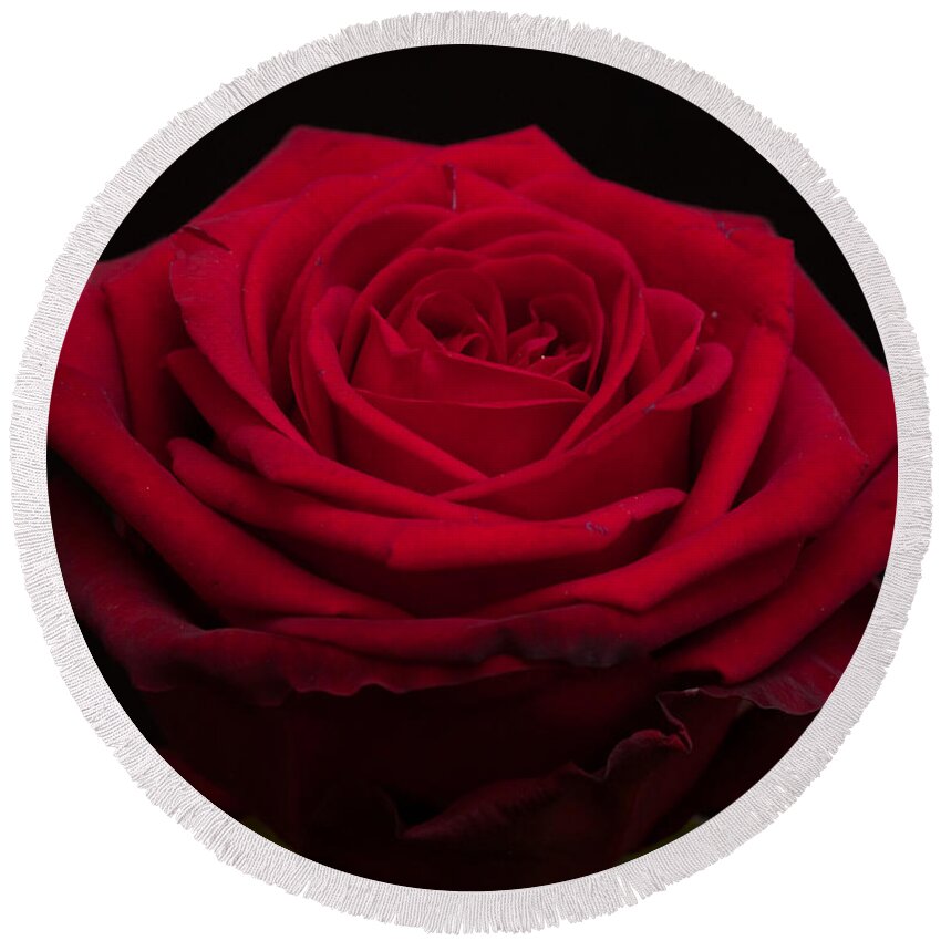 Miguel Round Beach Towel featuring the photograph Roses are Red #2 by Miguel Winterpacht