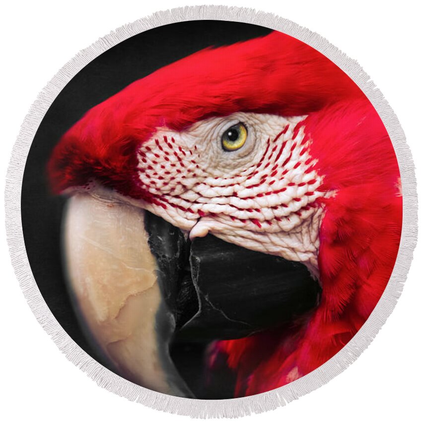 Scarlet Macaw Round Beach Towel featuring the photograph Scarlet Macaw - Ara Macao #1 by Sharon Mau