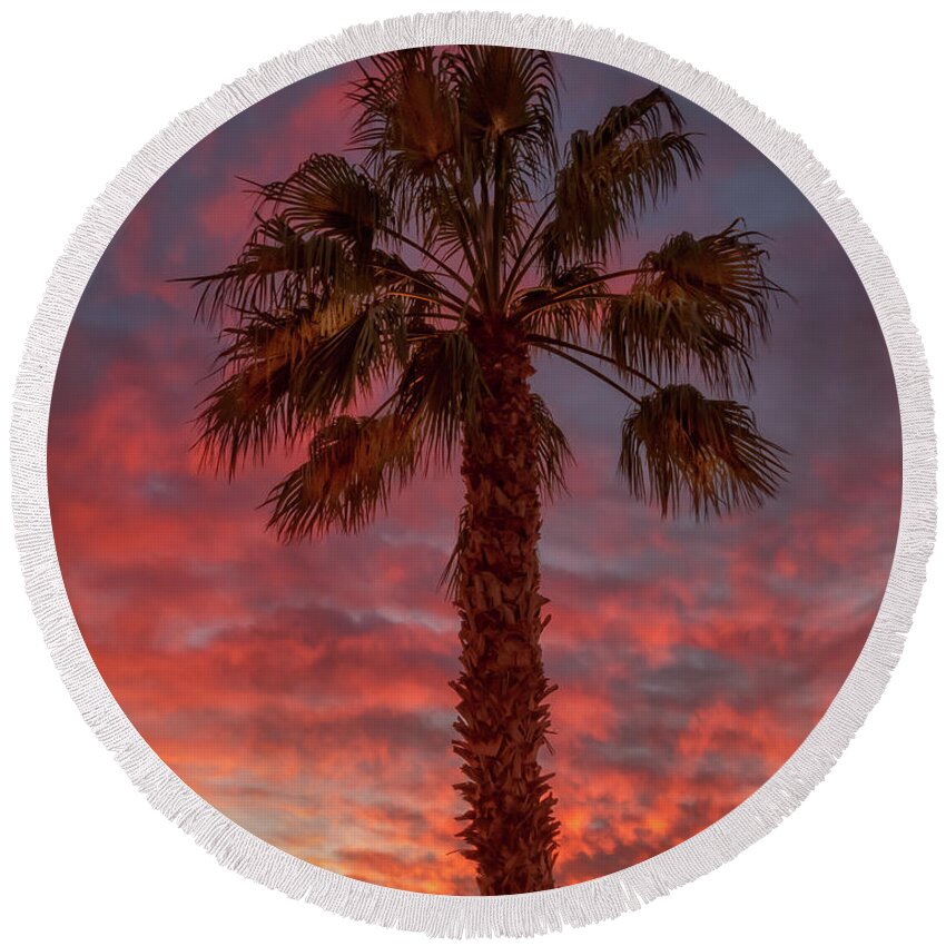 Sunrise Round Beach Towel featuring the photograph Silhouetted Palm Tree #1 by Robert Bales
