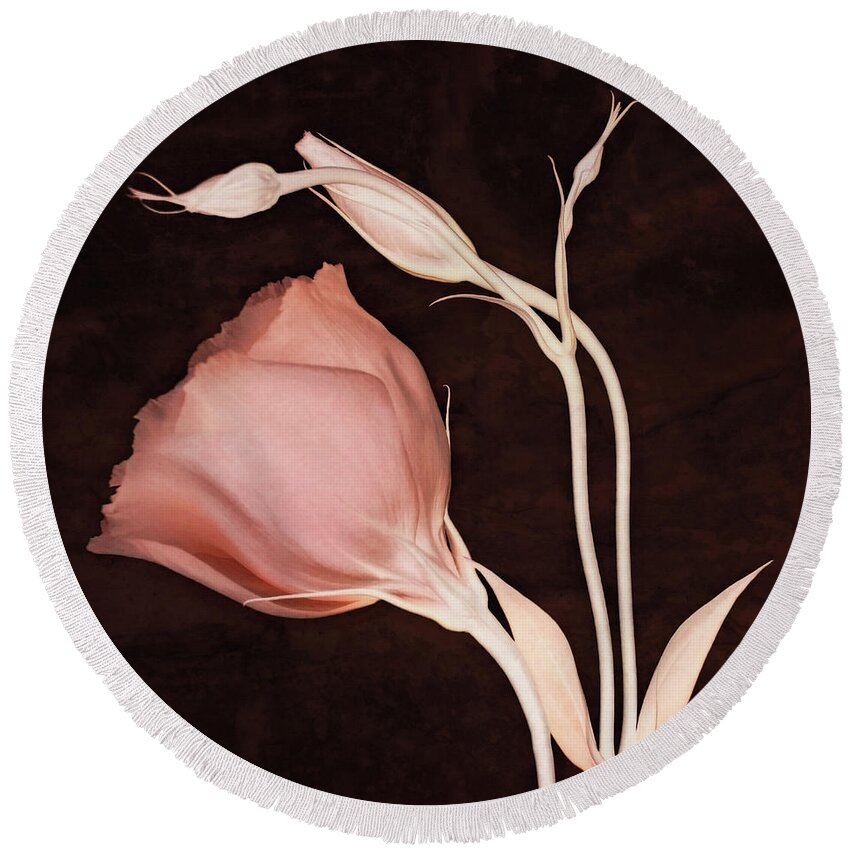 Lisianthus Flowers Round Beach Towel featuring the photograph Simplicity #1 by Leda Robertson