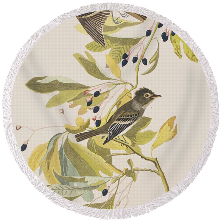 Flycatcher Round Beach Towel featuring the painting Small Green Crested Flycatcher by John James Audubon