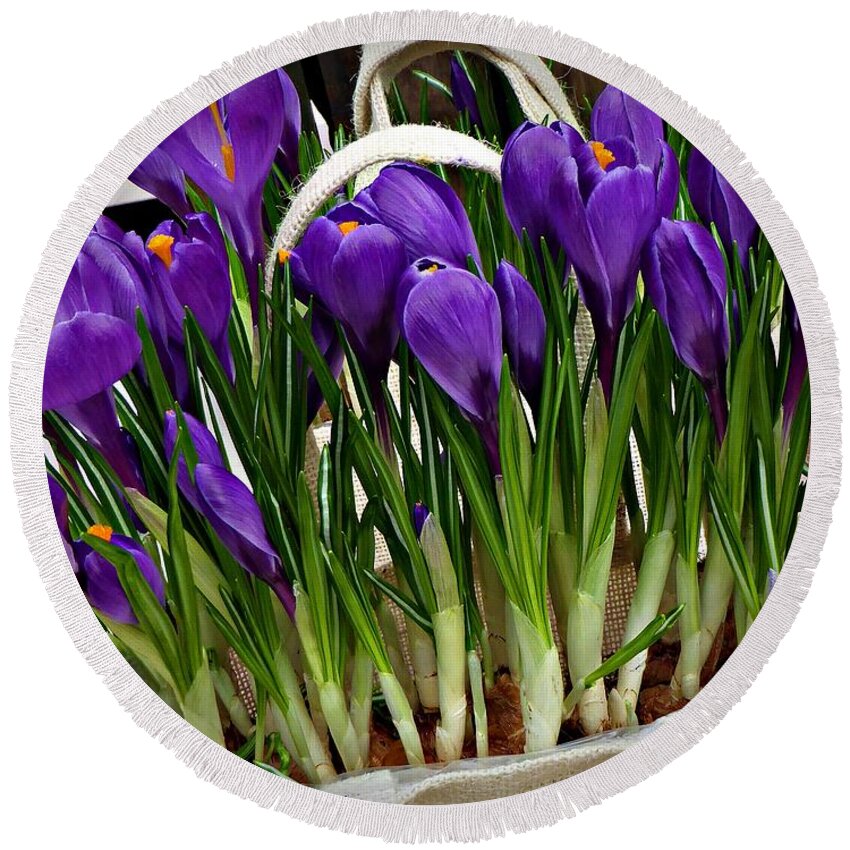 Flowers Round Beach Towel featuring the photograph Spring Crocuses #1 by Amalia Suruceanu