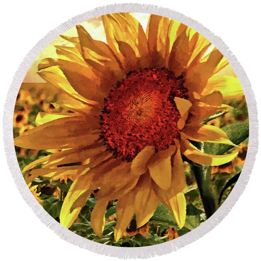 Sunflower Round Beach Towel featuring the mixed media Sunflower Sunrise #1 by Dave Lee