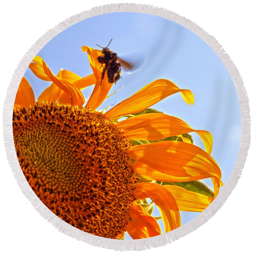 Sunflower Round Beach Towel featuring the photograph Bee on a Sunflower by Toni Hopper