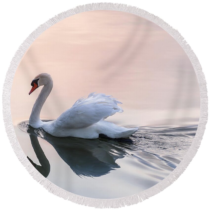 Swan Round Beach Towel featuring the photograph Sunset swan 2 by Elena Elisseeva