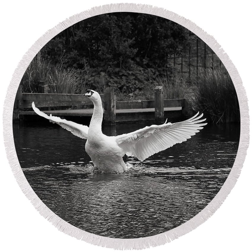 Mute Swan Round Beach Towel featuring the photograph Swan Monochrome #1 by Jeff Townsend