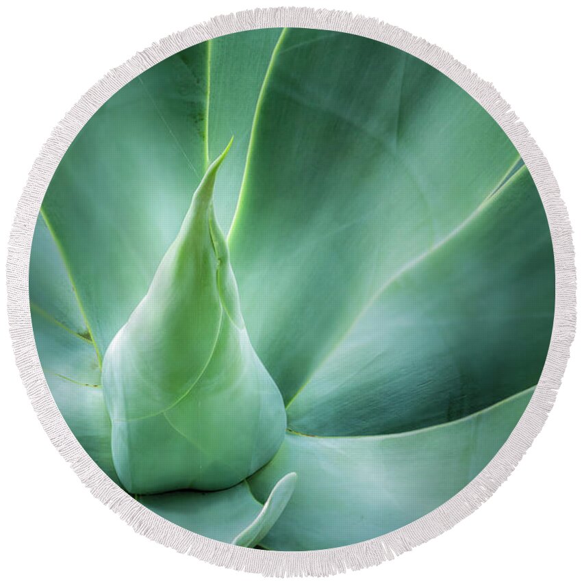 Abstract Round Beach Towel featuring the photograph Swan's Neck Agave 2 by Leigh Anne Meeks