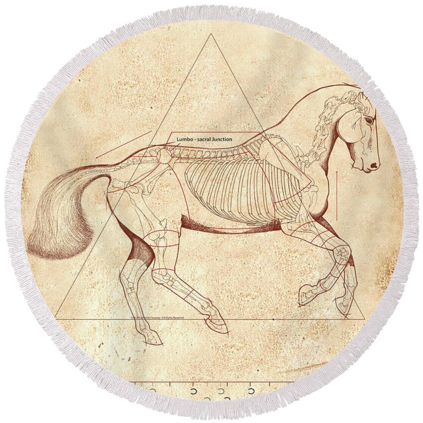 Horse Round Beach Towel featuring the painting The Horse's Canter Revealed #1 by Catherine Twomey