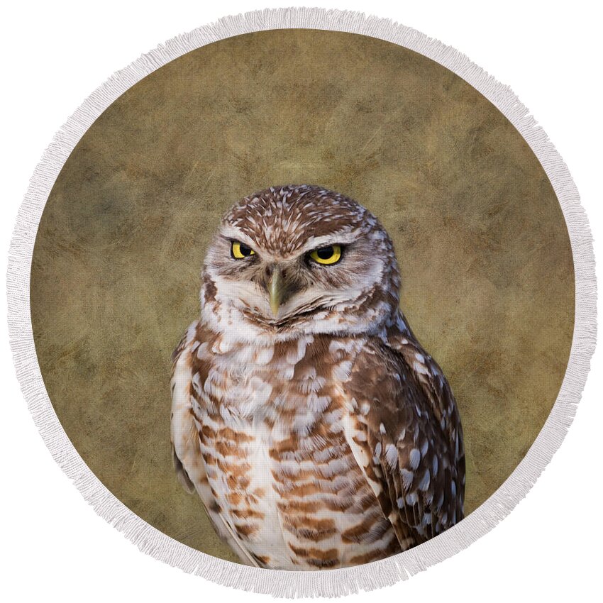 Owl Round Beach Towel featuring the photograph The Stare #1 by Kim Hojnacki