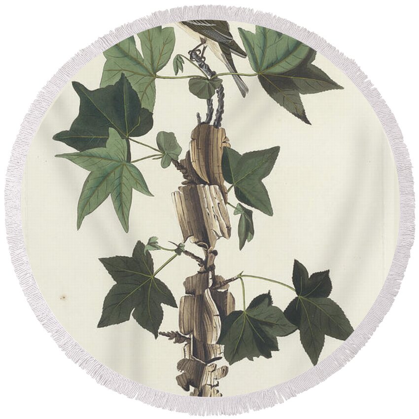 Fly Catcher Round Beach Towel featuring the painting Traill's Flycatcher by John James Audubon