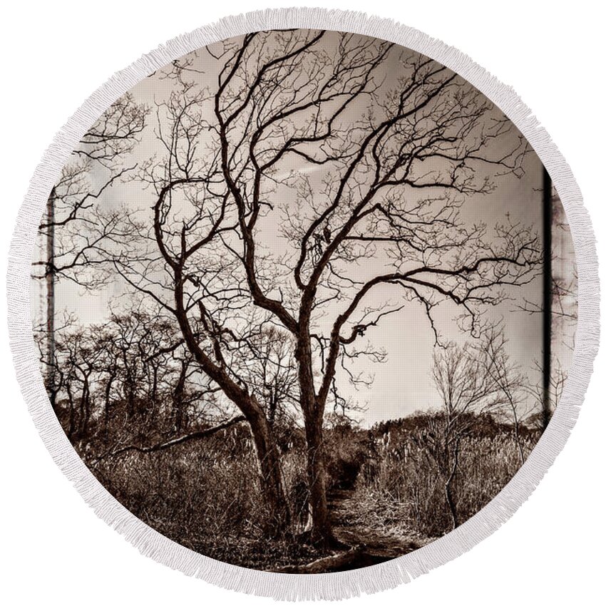 Baril Round Beach Towel featuring the photograph Tree #1 by Frank Winters